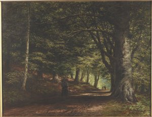 Avenue de hêtres, Inverary, 1876